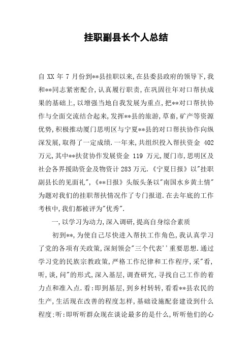 挂职副县长个人总结