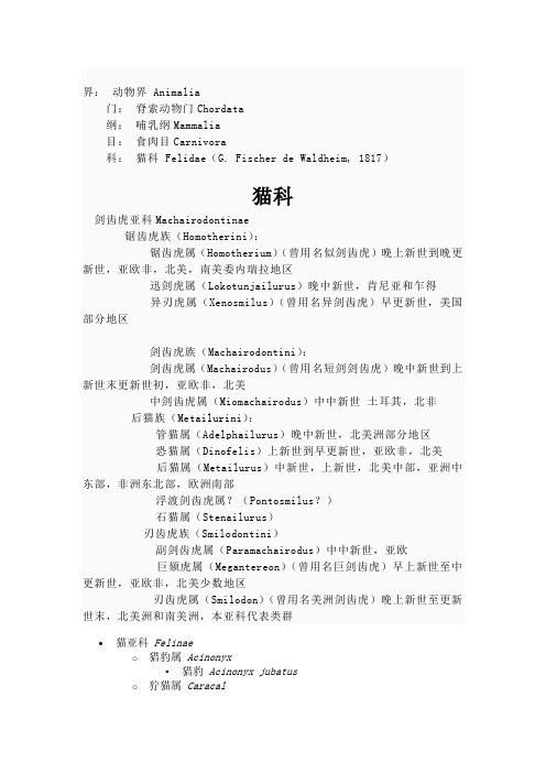 猫科分类