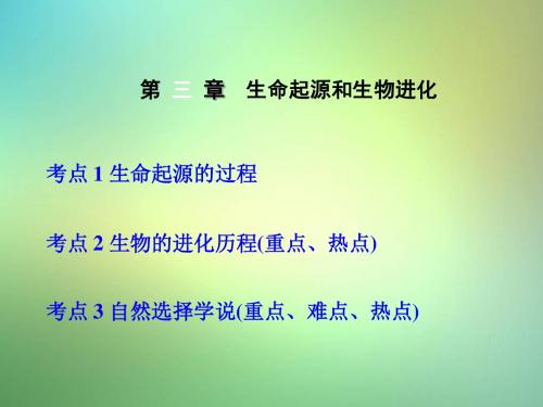 中考生物第七单元第三章生命起源和生物进化复习课件