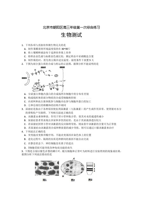 朝阳区高三一模生物试题及答案i