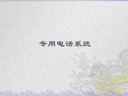 专用电话系统