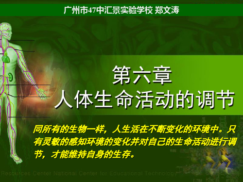 人体对外界的感觉——眼和视觉(1)20页PPT