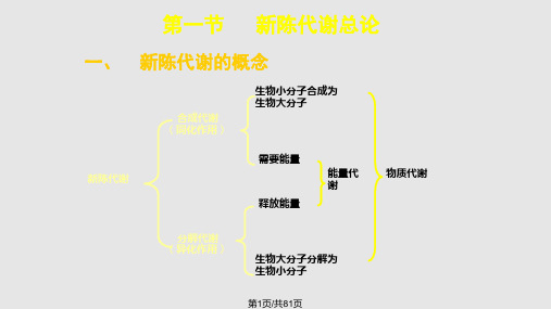 代谢总论与生物氧化PPT课件
