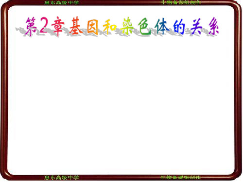 同源染色体分离