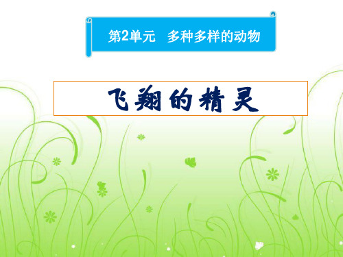 《飞翔的精灵》湘教版四年级科学上册课件ppt(3篇)