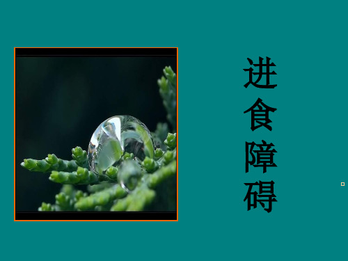 《进食障碍》PPT课件