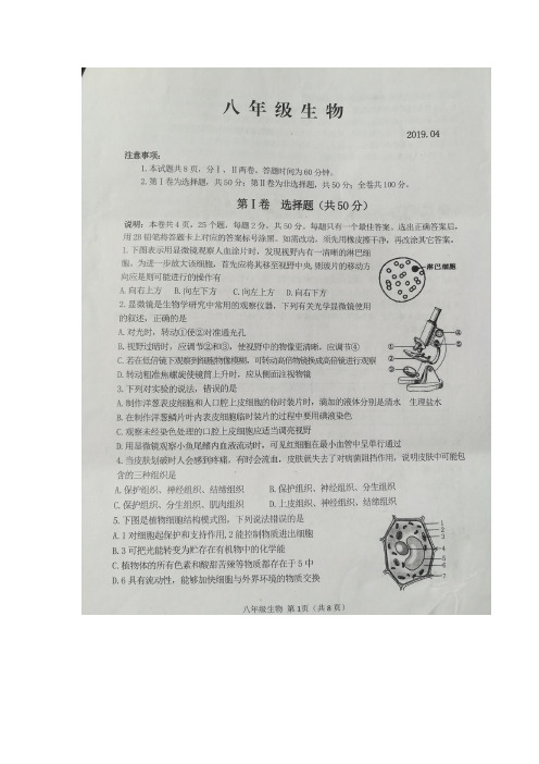山东省高密市2018——2019学年度第二学期中考一模八年级生物试题(图片版,带答案)