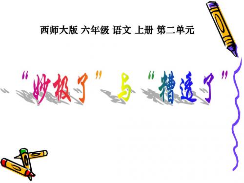 西师大版小学六年级语文上册《“妙极了”与“遭透了”》课件