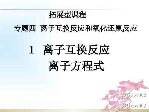 沪科版高中化学拓展课程 4.1.1 离子方程式PPT(16张)优质课件
