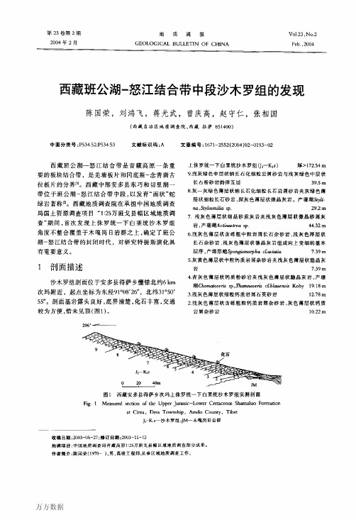 西藏班公湖-怒江结合带中段沙木罗组的发现[1]