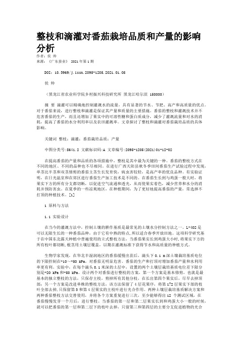 整枝和滴灌对番茄栽培品质和产量的影响分析