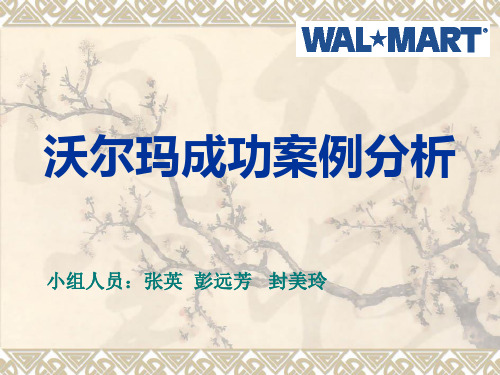 电子商务案例分析(沃尔玛为例)
