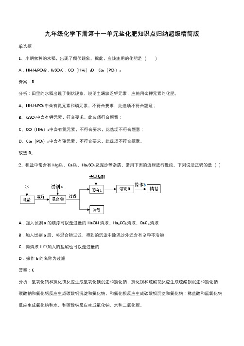 九年级化学下册第十一单元盐化肥知识点归纳超级精简版(带答案)