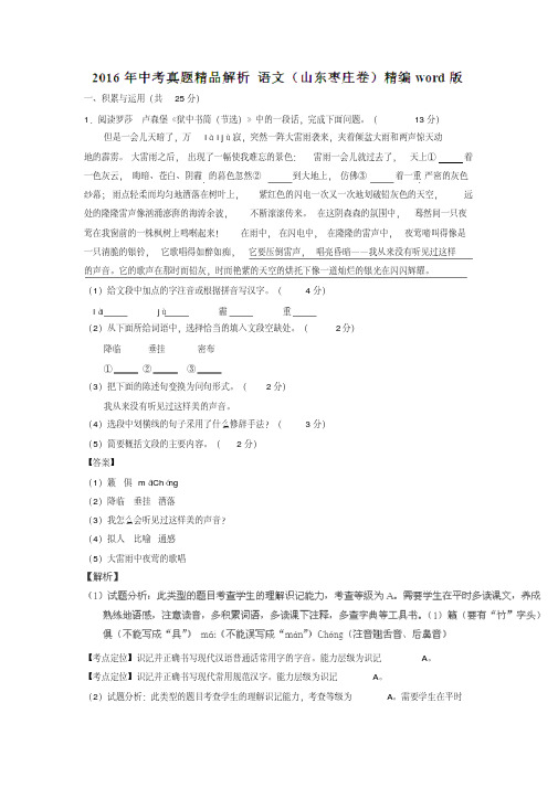 山东枣庄2016中考试题语文卷(解析版)