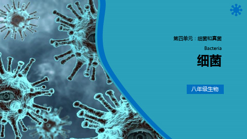 《细菌》PPT精品课件2021课件PPT