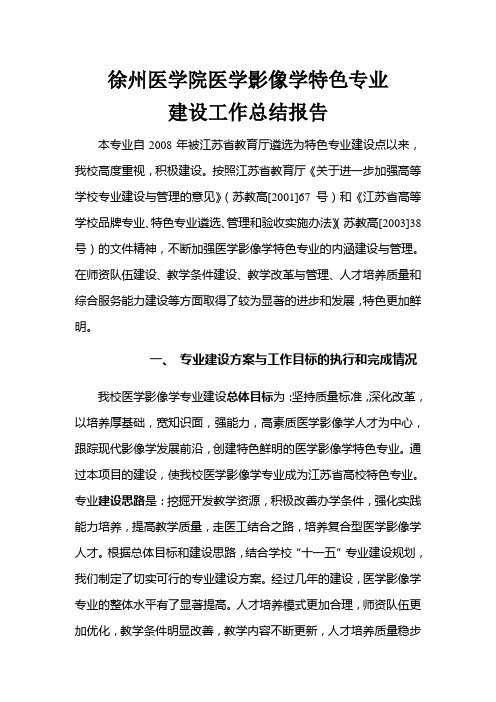 特色专业建设总结报告 精品