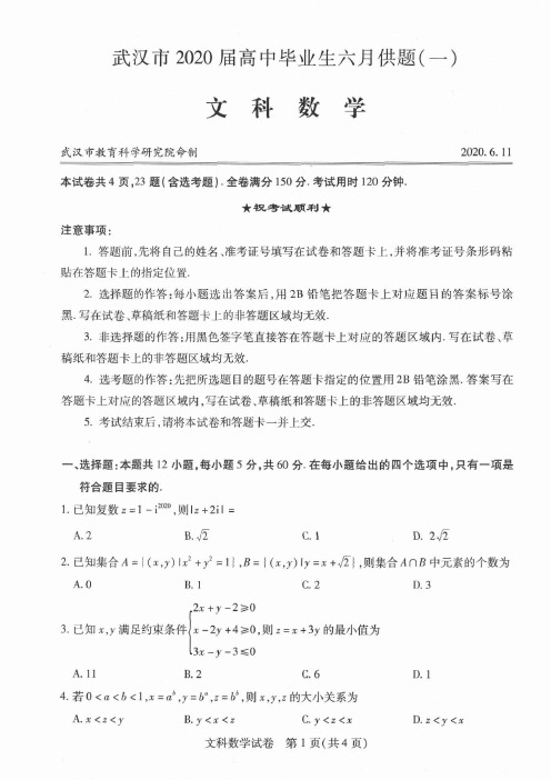湖北省武汉市2020届高中毕业生六月供题试卷 文科数学试题(含答案)