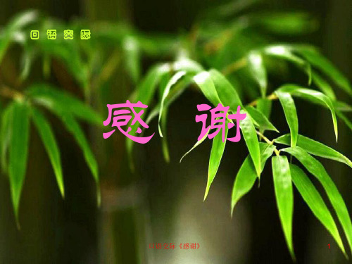 四年级语文---口语交际--感谢 公开课获奖课件