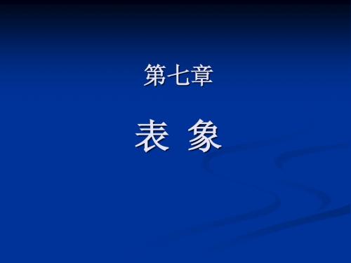 第七章 表象