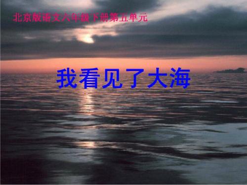 六年级下册语文优秀课件5.5《我看见了大海》北师大版 (共28张ppt)