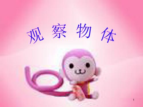 二年级数学上册 观察物体2课件 人教新课标版