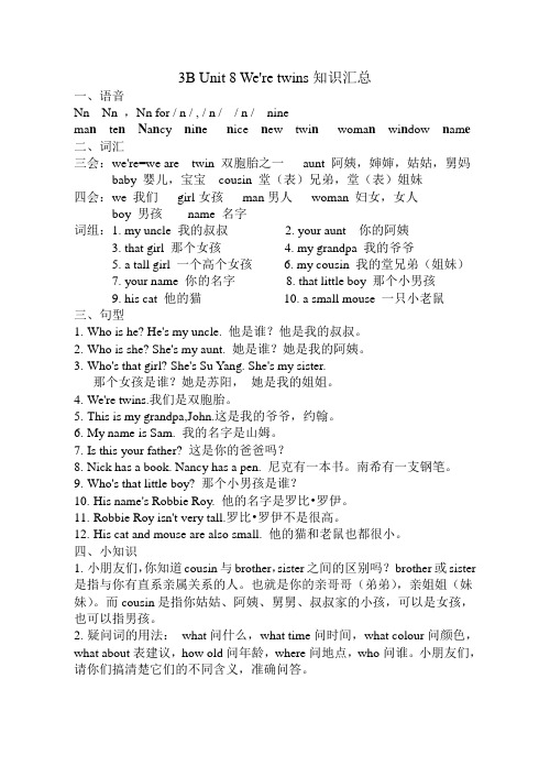 [译林版]3B Unit 8 We're twins知识汇总及练习