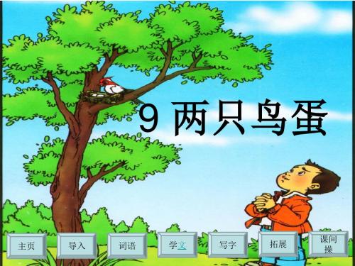 9两只鸟蛋