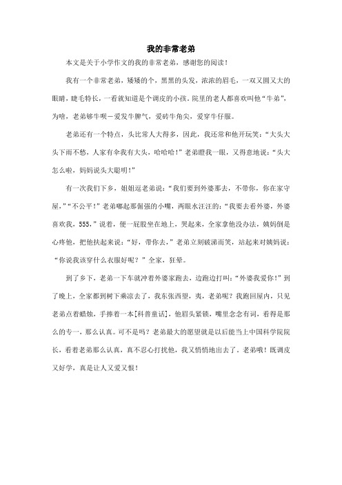 我的非常老弟_小学作文
