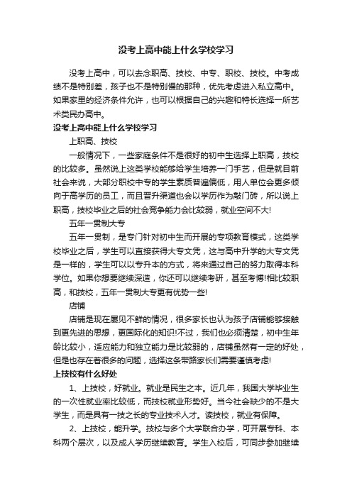 没考上高中能上什么学校学习