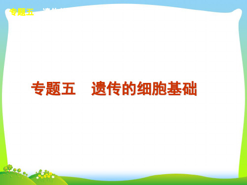 遗传的细胞基础_2-课件