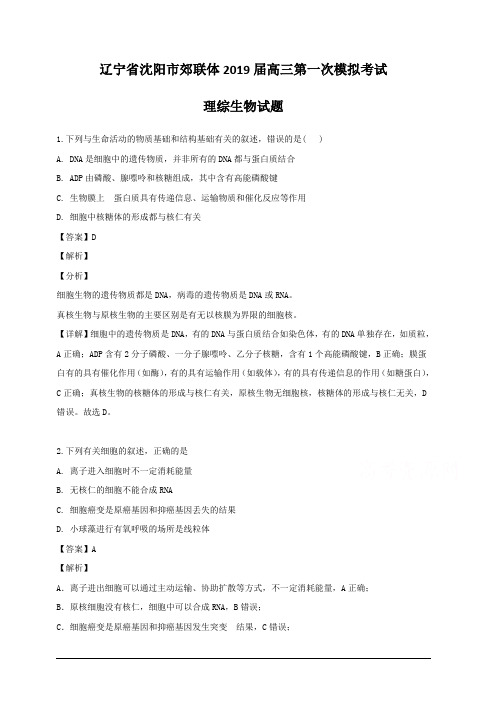 辽宁省沈阳市郊联体2019届高三第一次模拟考试理综生物试题 含解析