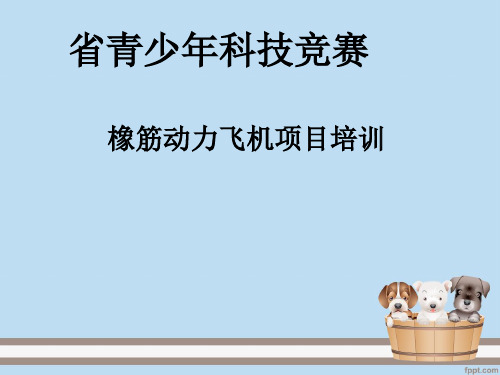 阜宁实验初中橡筋动力飞机制作PPT