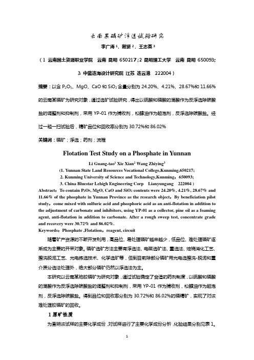 云南某磷矿选矿试验研究