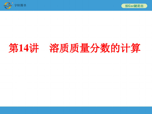 溶质质量分数的计算