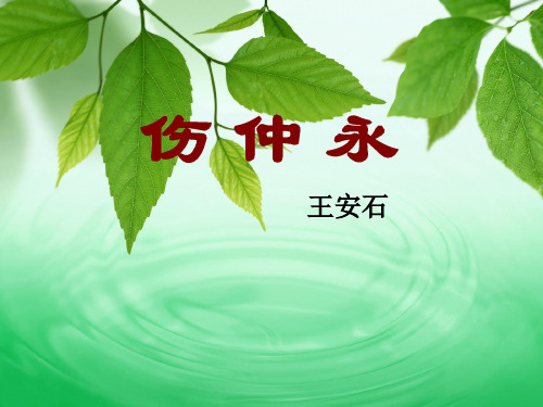 新语文版七年级语文(上)第六单元23、《伤仲永》课件(共23张PPT)