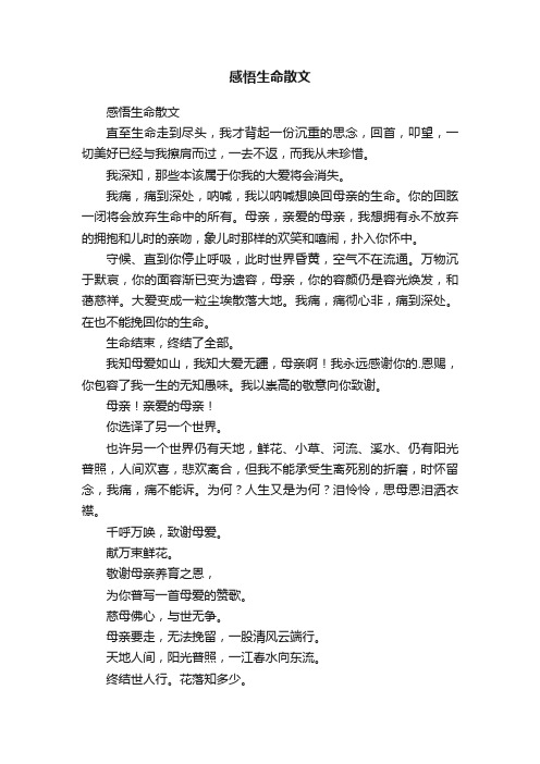 感悟生命散文