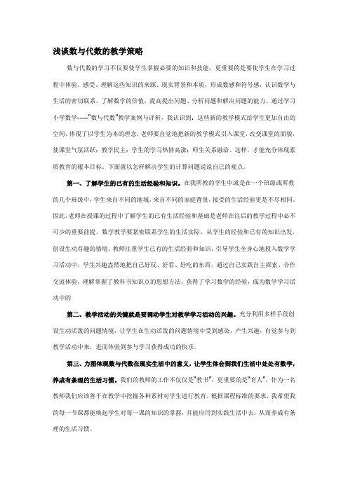 浅谈数与代数的教学策略