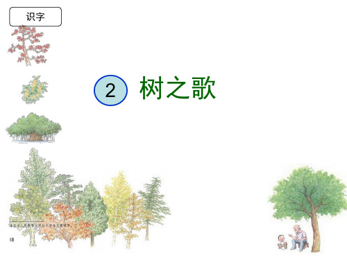 《树之歌》优秀课件