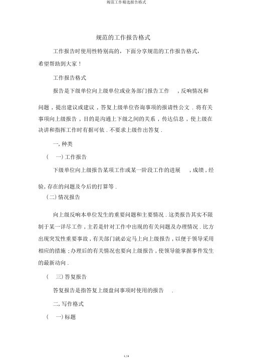 规范工作精选报告格式