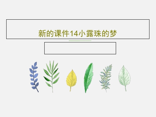 新的课件14小露珠的梦共31页
