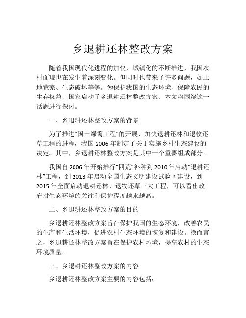 乡退耕还林整改方案