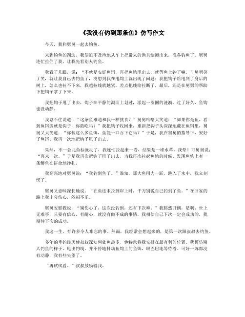 《我没有钓到那条鱼》仿写作文