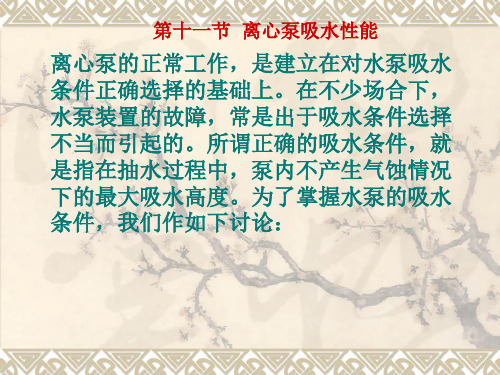 离心水泵的 吸水性能(2.11)教材