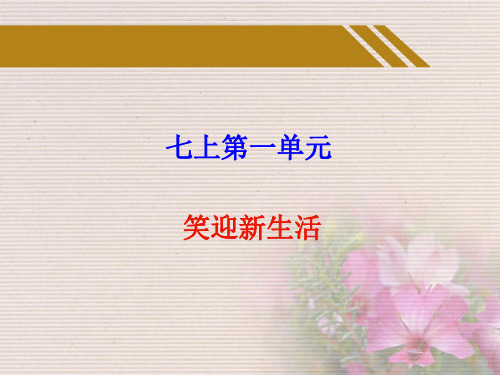 七年级政治总复习七上第一二单元课件人教版