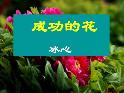七年级语文上册第3课《冰心诗四首》课件苏教版