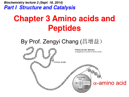 生物化学课件Chapter 3 Amino acids and Peptides