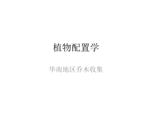 华南地区二十种乔木
