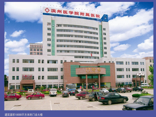 心电图基础知识系列讲座 ppt课件