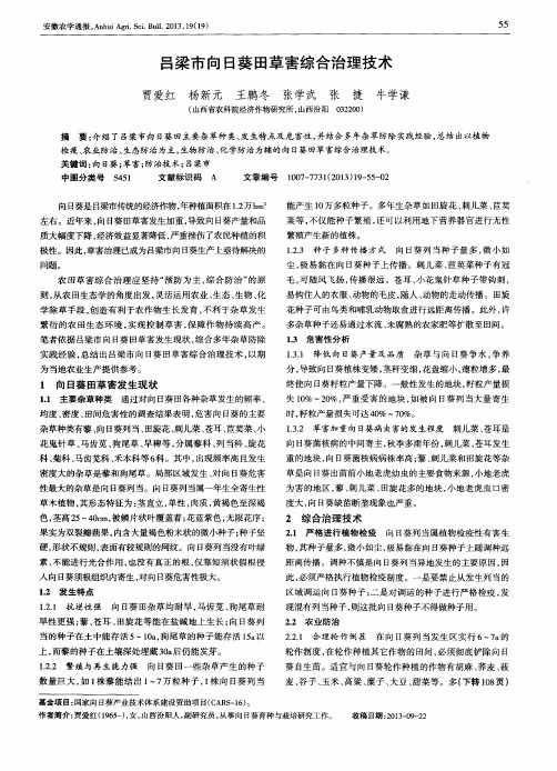 吕梁市向日葵田草害综合治理技术