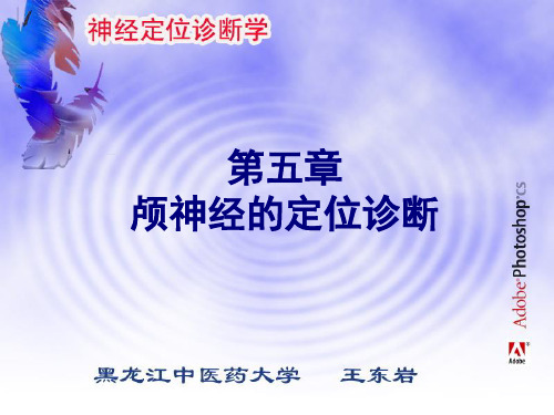 第二节视神经